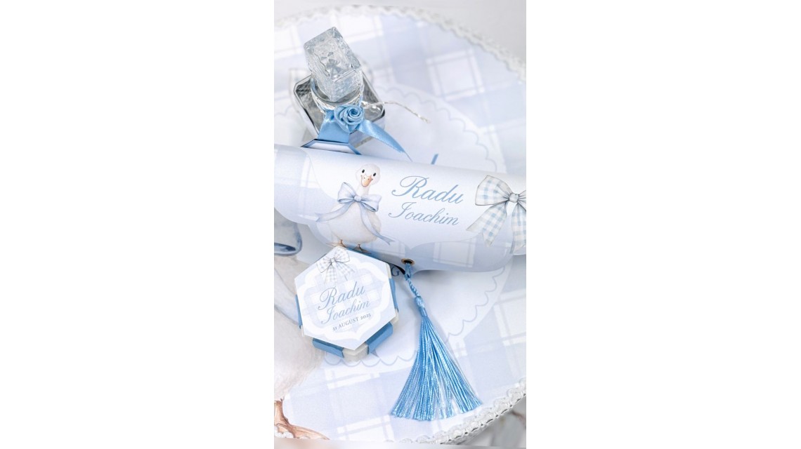 Trusou de botez cu rățuște Silly Goose 26